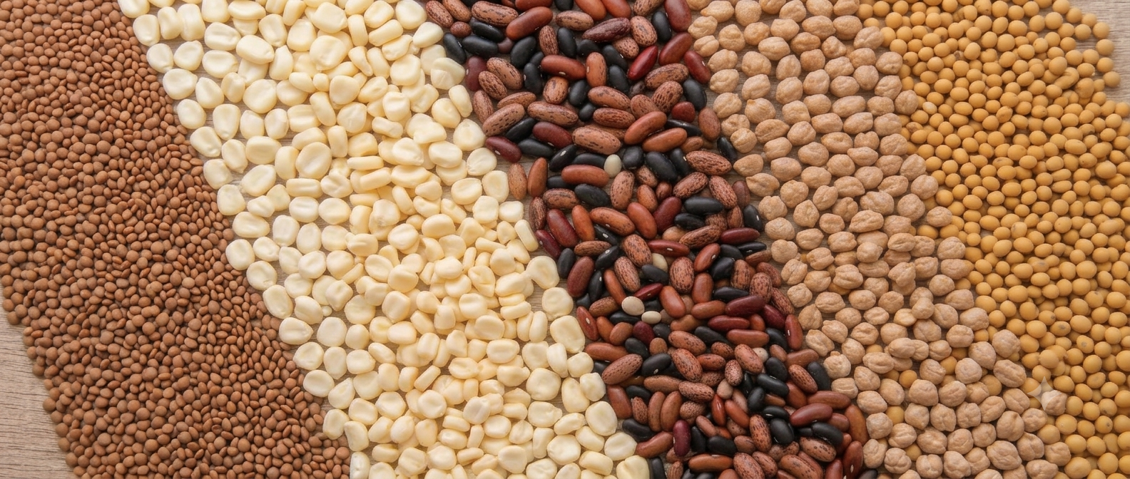 Grupo Agrostar